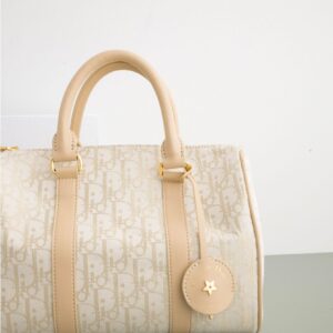 [국내배송]디올 [Christian Dior] Dior Groove 25 백